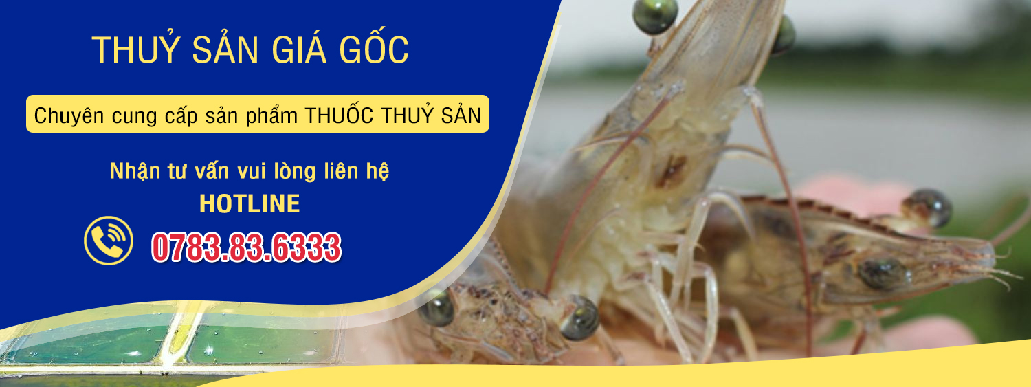 Chuyên cung cấp các sản phẩm thuốc thuỷ sản