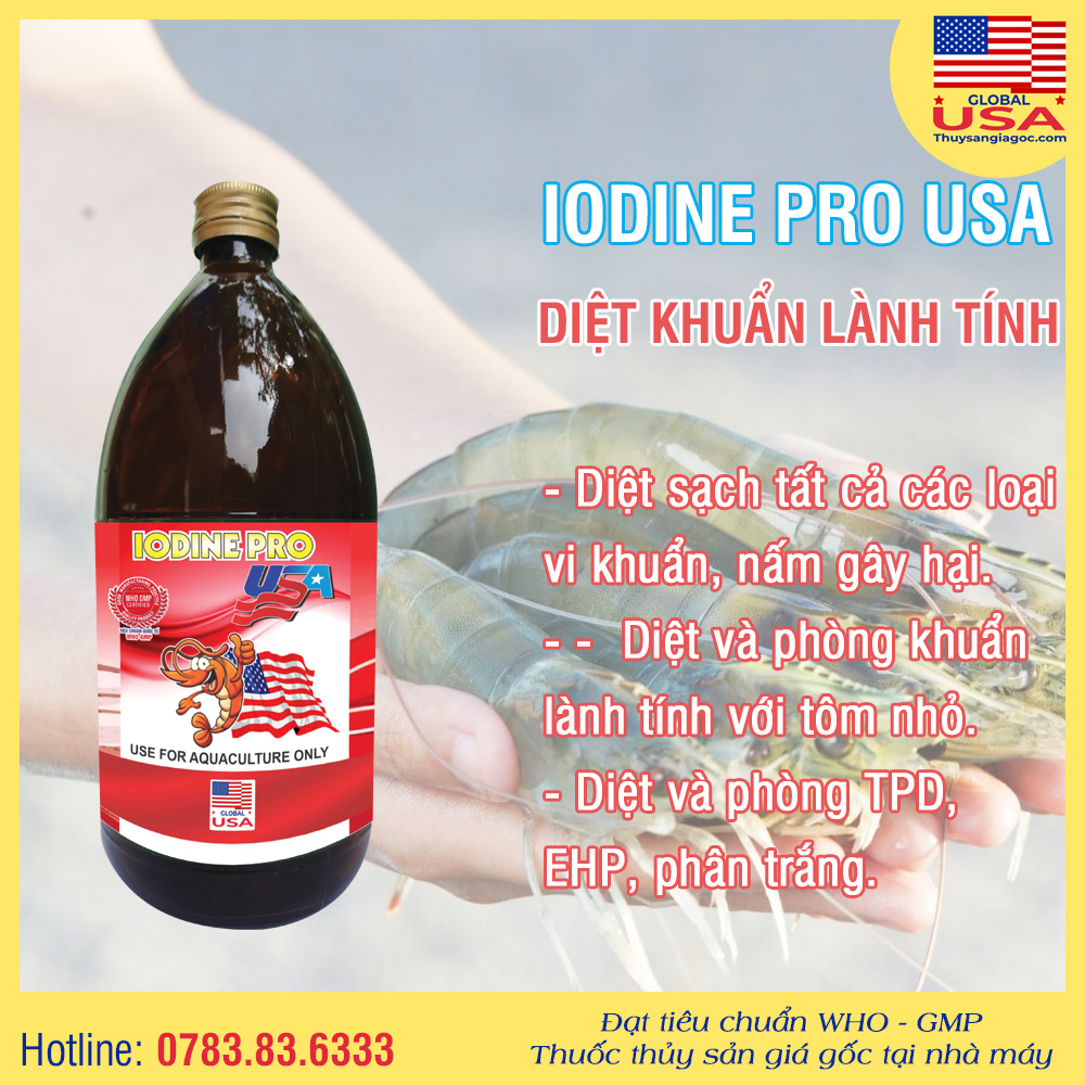 IODINE PRO USA - Diệt khuẩn lành tính 1 Lít