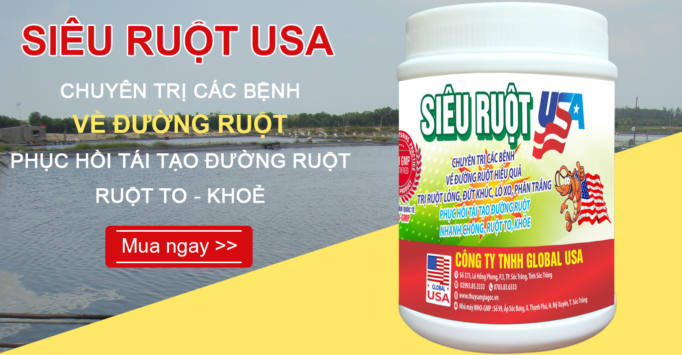 sieu-ruot-usa-bn3.jpg